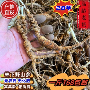28年新鲜林下参长白山野山参老货残参老池底参自用泡酒煲汤便宜参