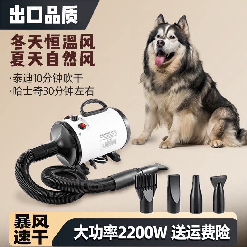 宠物吹水机狗狗专用商用家用吹风机大功率静音大型犬猫咪吹毛烘干