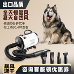 宠物吹水机狗狗专用商用家用吹风机大功率静音大型犬猫咪吹毛烘干