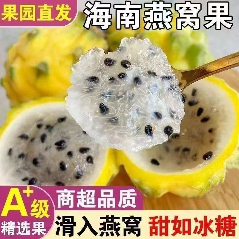 海南新鲜燕窝果甜蜜丝滑顺丰