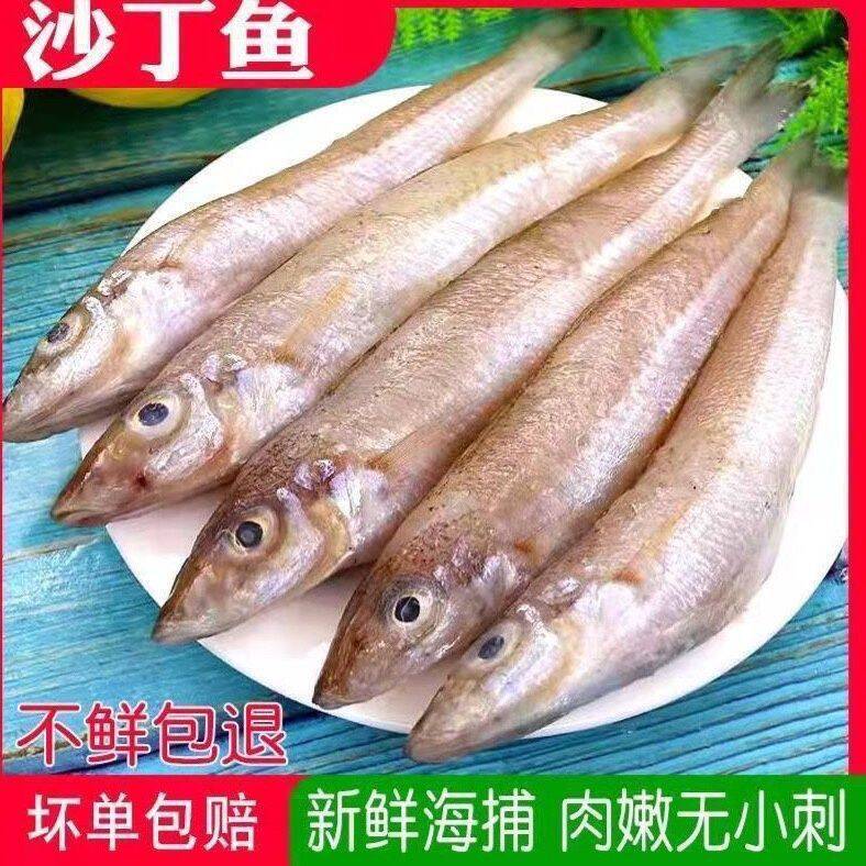大连沙丁鱼新鲜冷冻沙尖鱼海捕冰鲜沙钻鱼3斤 大小混装易破肚包邮