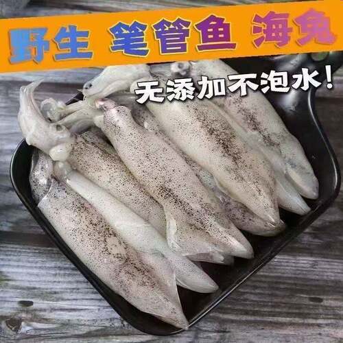 大连当地新鲜笔管鱼海兔冷冻乌贼小管鱿鱼海鲜水产满籽鲜速冻4斤