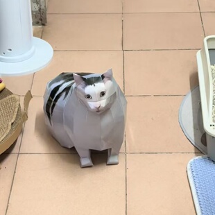 大oiiao猫huh猫Maxwell猫疑惑猫旋转猫手工DIY纸模型折纸猫材料包