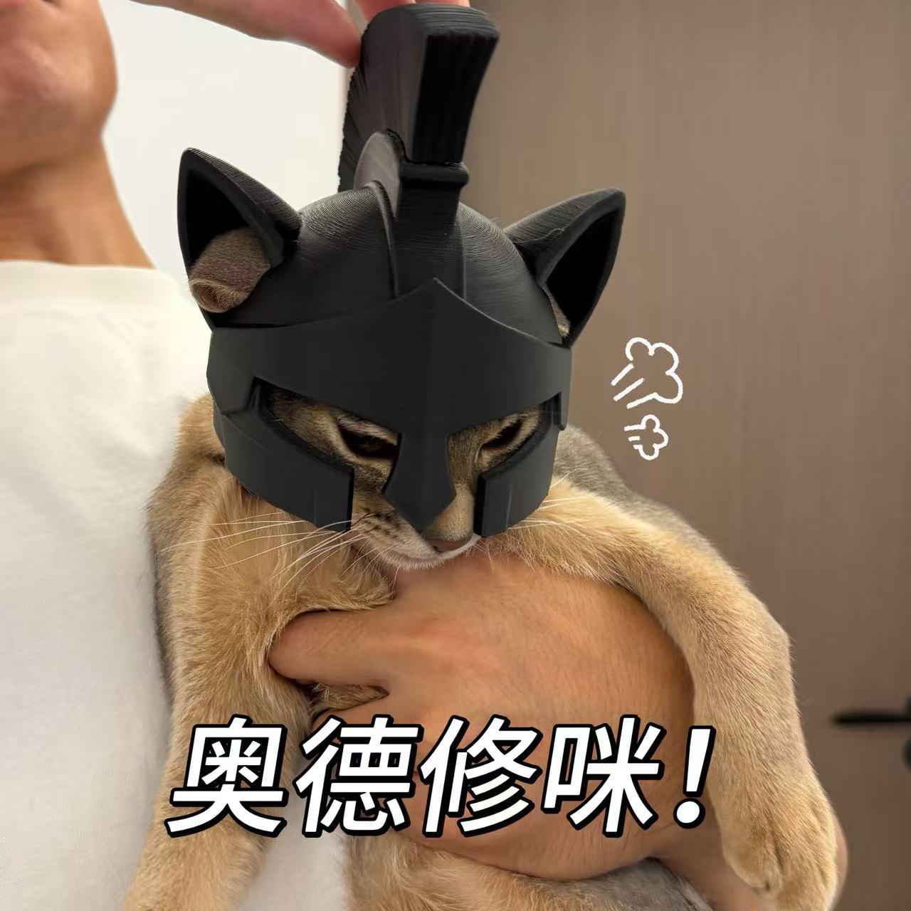 勇士降临!奥德赛猫咪头盔头饰3D打印宠物cos拍照万圣节装扮道具
