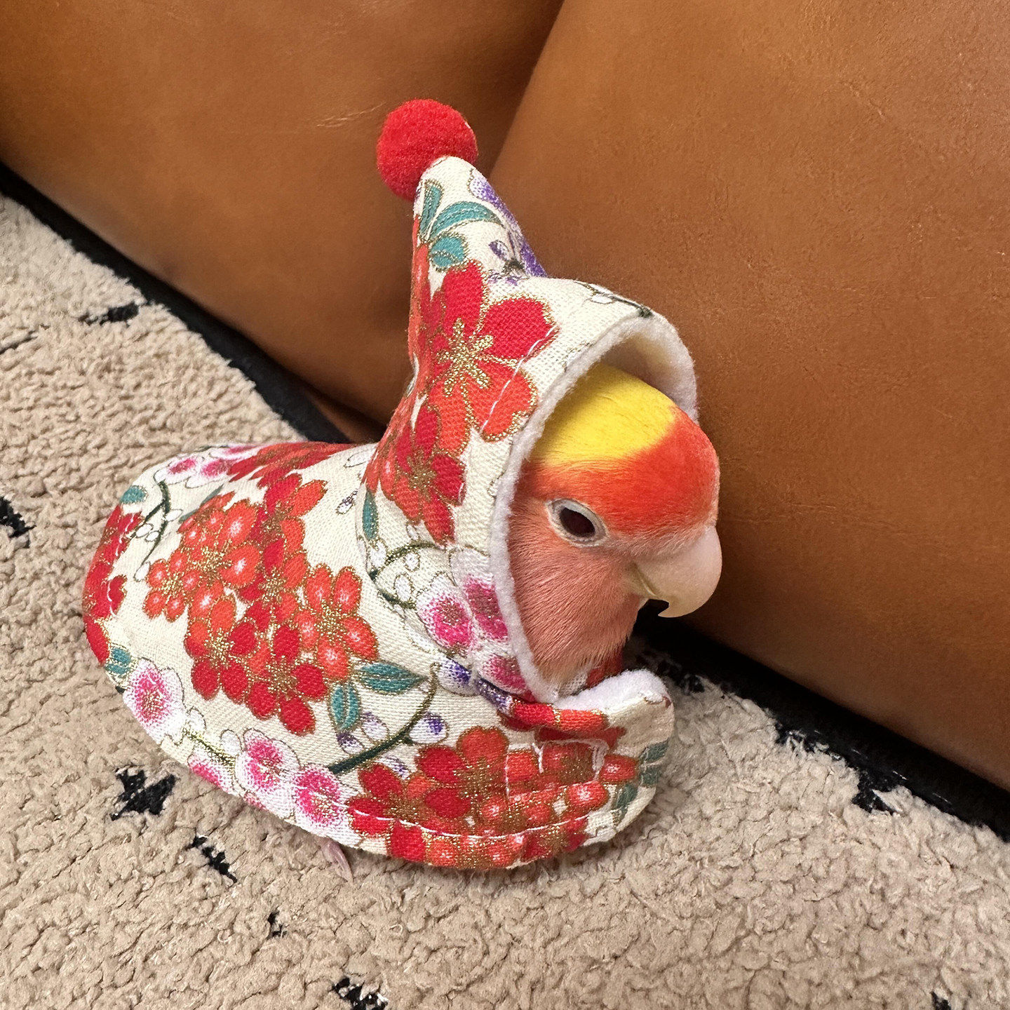 2026新款鹦鹉衣服小斗篷加绒加厚红色披风小鸟过冬外出防风防寒,宠物/宠物食品及用品,鸟禽服饰,淘宝优惠券,粉丝福利购,淘宝优惠卷