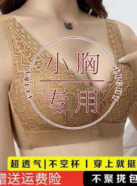加厚杯小胸平胸聚拢文胸无钢圈收副乳内衣女性感上托调整型胸罩
