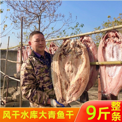 湖北特产农家自制咸鱼螺蛳青鱼干