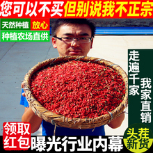 新货苟杞子免洗宁夏枸杞特级枸杞子正宗农家枸枸500g克红构杞