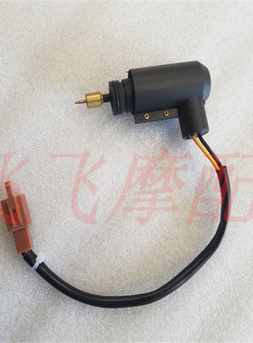 适用海王星HS125T福星金巨星红巨星蓝巨星化油器加浓阀电子风门