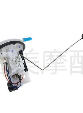 适用雅马哈天剑王YBR250飞致YS250 JYM250-2A-2B-3汽油泵 燃油泵
