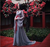 出租太子妃升职记陈良娣影视古装 汉锦记 服