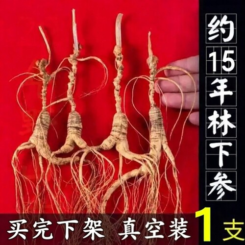 褐衣草妖林下参足干足龄泡酒煲汤