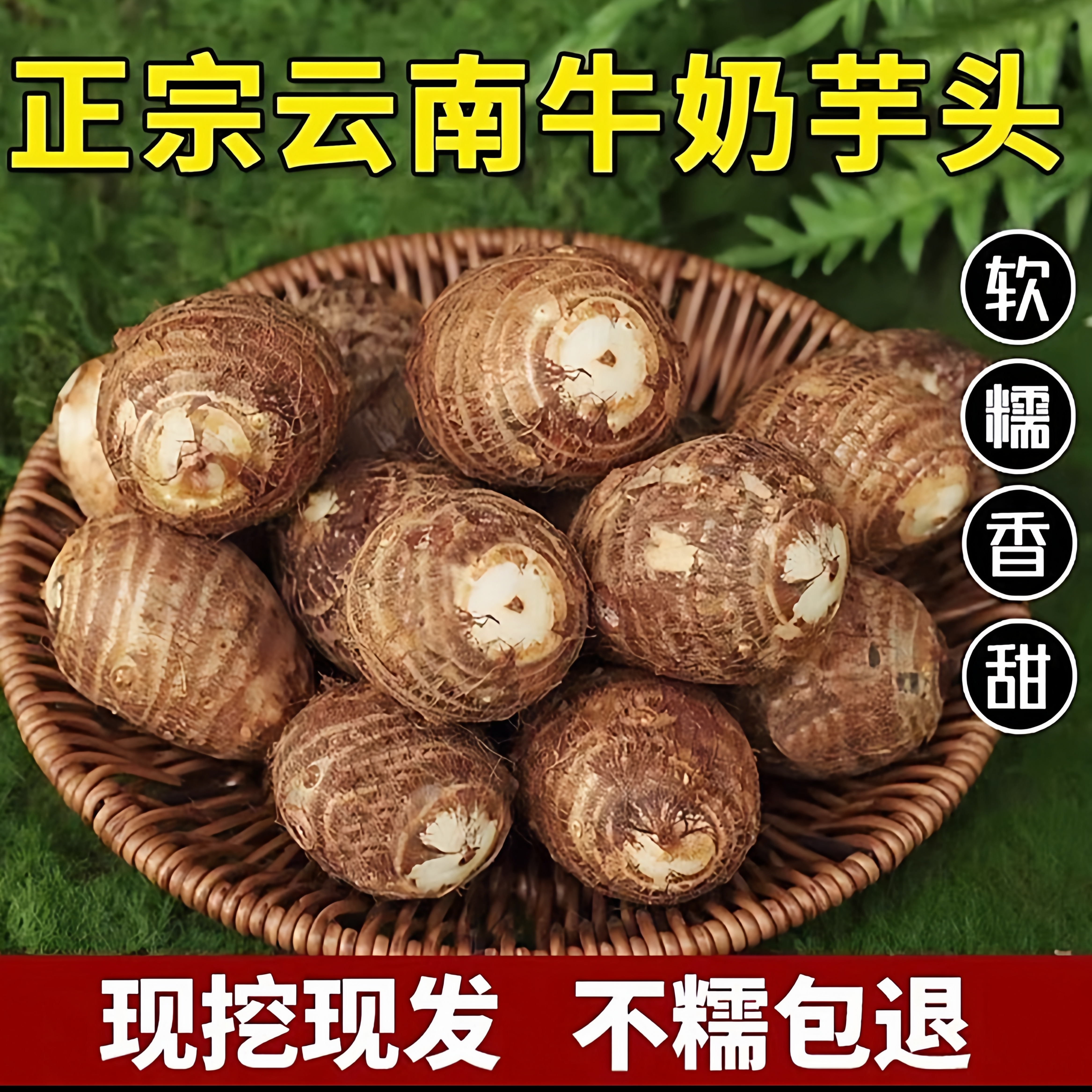 云南高山牛奶小芋头粉糯香甜新鲜现挖9斤牛奶芋头小香芋小毛芋