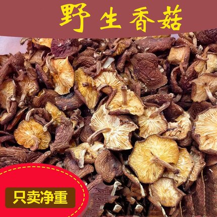 广西柳州野生香菌正宗椴木菇干货农家天然自晒小蘑菇无硫薄皮250g