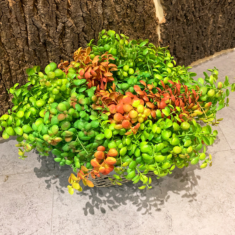 纽扣叶仿真假草假叶子豆瓣叶室内客厅插花摆件绿植塑料草装饰