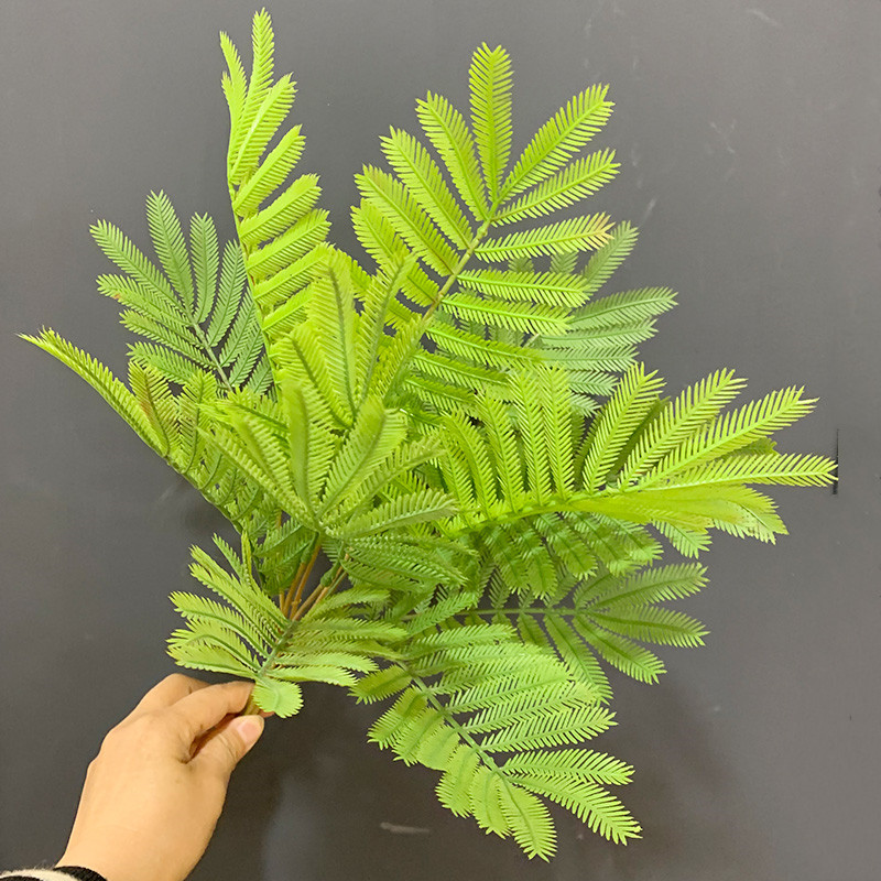 合欢花叶子把束植物墙配材仿真含羞草热带雨林装饰鱼骨松假塑料草