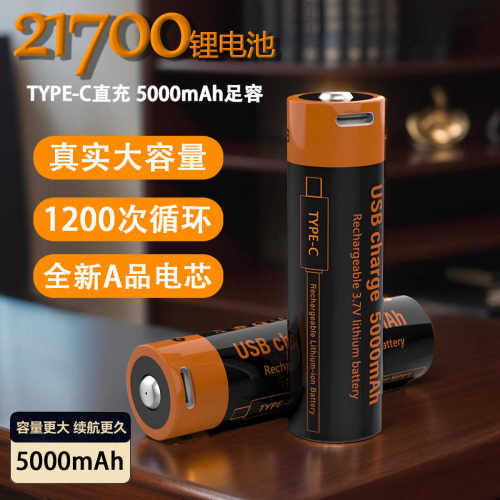 21700锂电TYPE-C充电纳丽德电筒