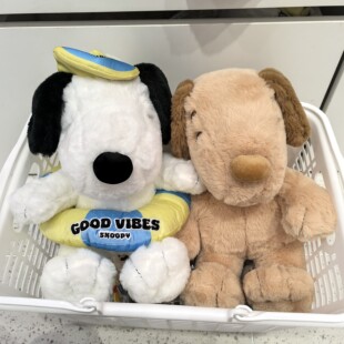 MINISO名创优品史努比环海日记系12号坐姿晒黑泳圈史努比毛绒公仔