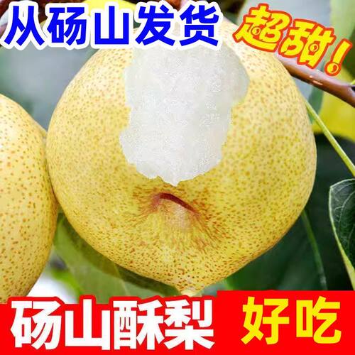 安徽砀山酥梨果园现摘现发皮薄肉细汁水充沛5斤/10斤整箱包邮
