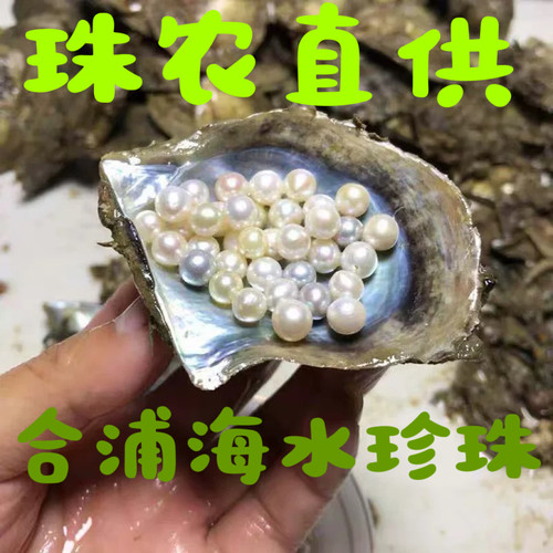 非akoya海水珍珠蚌马式贝特大自己开白粉圆珠国产新款diy拼接同款