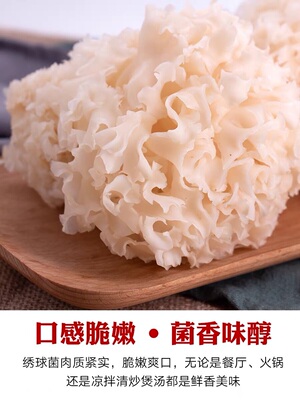 山合百味 云南特产 新鲜菌菇培育花边瓣 绣球菌1000克装火锅用