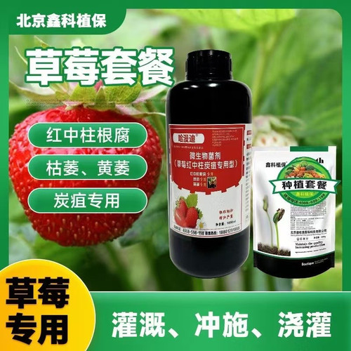 草莓红中柱炭疽套餐