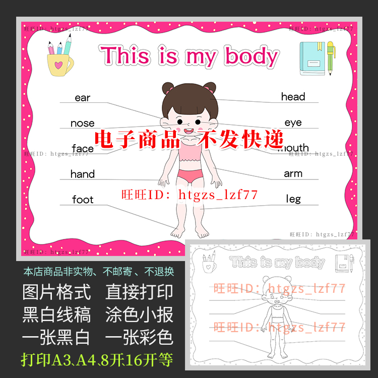 英文英语body身体部位手抄报思维导图儿童画女版黑白涂色小报a443