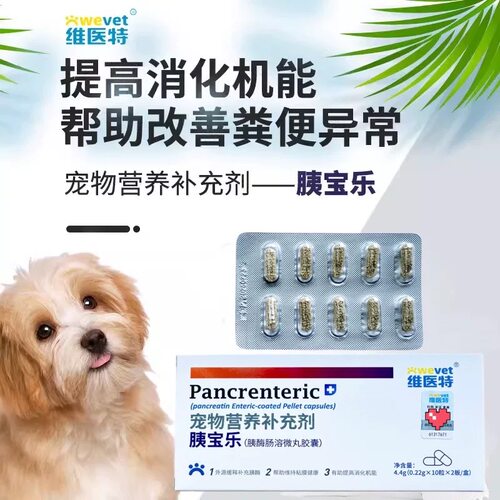 胰酶肠溶微丸胶囊宠补充剂