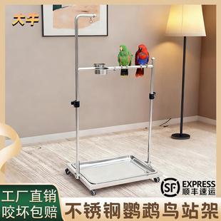 大牛304不锈钢鹦鹉鸟站架中大型栖息鸟架子金刚葵花和尚鹦鹉用品