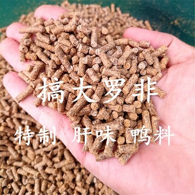 非洲鲫打窝料大罗非鱼专用窝料肝味打窝颗粒浓腥味鸭饲料野钓肝味