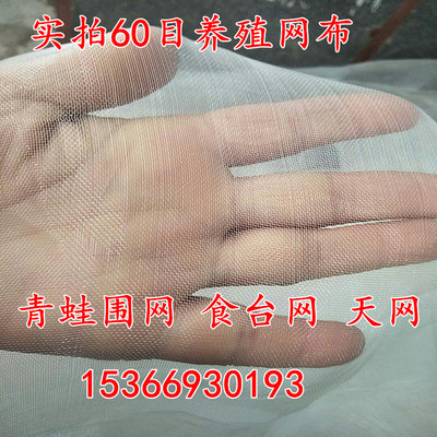 专用食台诱食塑料网栏网围网