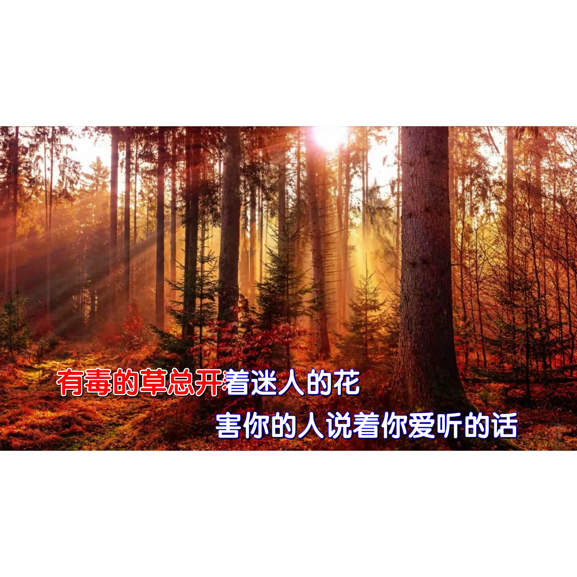 鱼精 爱自己方可长命百岁 高清修复1080p MP4视频原版伴奏KTV字幕,乐器/吉他/钢琴/配件,软音源,淘宝优惠券,粉丝福利购,淘宝优惠卷