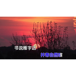 王山、张 宇 - 同簪 原版伴奏 高清 MP4视频MV伴奏KTV字幕