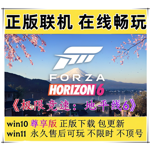 地平线6win11Xbox联机电脑游戏