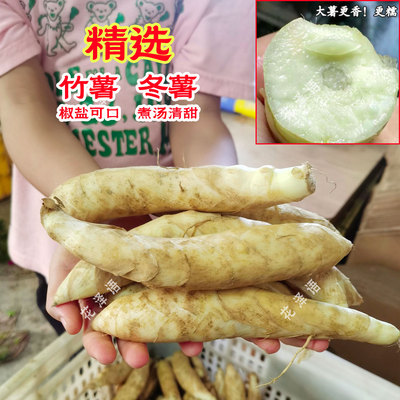 【精选大薯】脆糯竹薯新鲜冬薯广东冬笋薯当季东京薯结枝粉冬粉薯