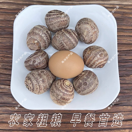 广东农家新鲜现挖毛芋头软糯香甜当季蔬菜香芋槟榔香芋粗粮早餐