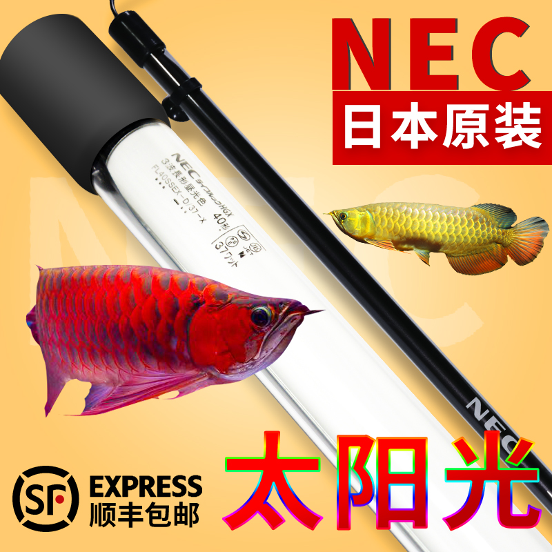 ÈÕ±¾NECÓã¸×µÆÇ±Ë®ÁúÓãµÆ·ÀË®t8Èý»ùÉ«µÆ¹Ü6700kºì½ðÁúÓãÔöɫרÓÃ