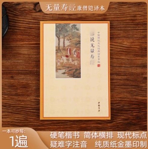 简体横板大乘无量寿经平等觉会集本康僧铠版夏莲居手抄本硬笔临摹