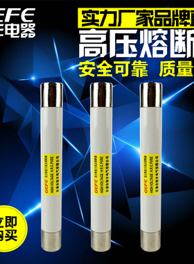 XRNP-10 高压熔断器电压互感器保护用XRNP-12/0.5A XRNP1 1A厂价