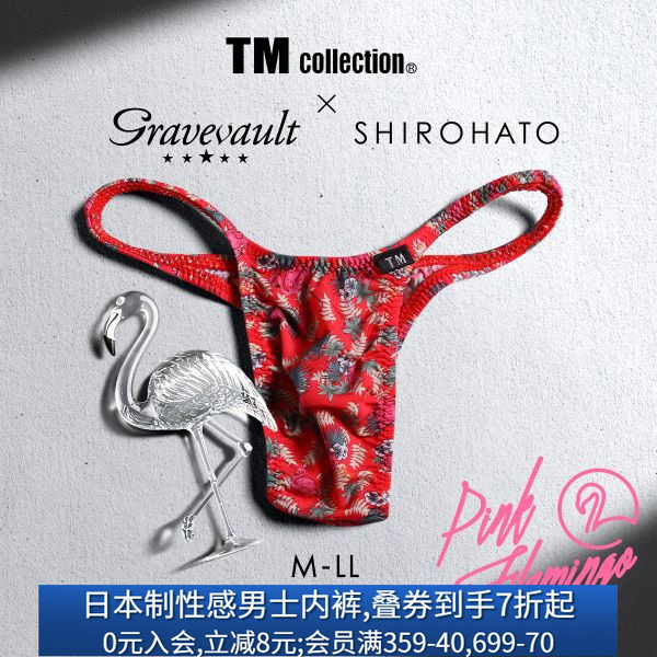 Gravevault男士内裤日本制性感细带紧身本命年红色低腰三角裤240