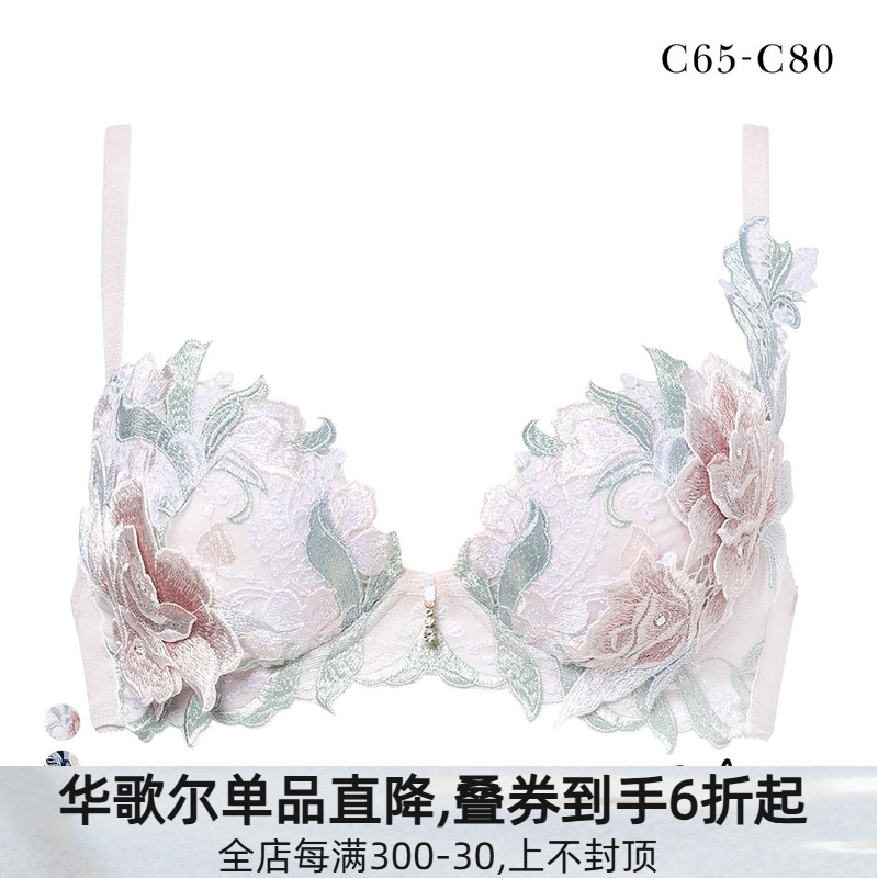 Salute聚拢显大立体刺绣性感文胸