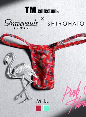 Gravevault男士内裤日本制性感细带紧身本命年红色低腰丁字T裤240