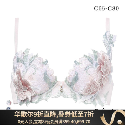 Salute聚拢显大立体刺绣性感文胸