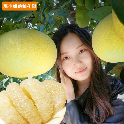 正宗玉环文旦柚子当季整箱孕妇新鲜水果蜜柚浙江台州楚门果农直销