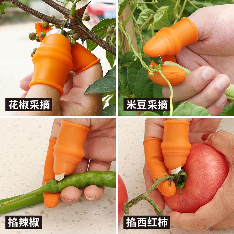 摘果摘花椒专用神器菜指