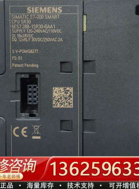 288-1SR30-0AA1功能正常，已测试，P年成色漂亮[议价]