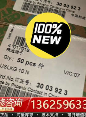 3003923 接地端子 - USLKG 10 N [议价]