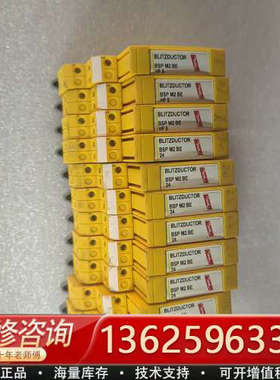 BLITZDUCTOR 保护器 BSP M2 BE24 92[议价]