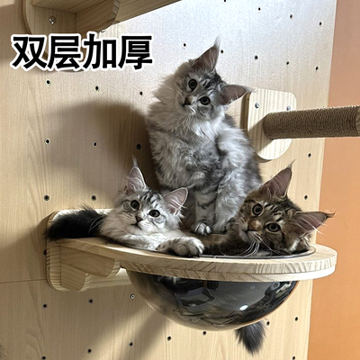 实木猫爬架上墙猫窝猫房猫墙设计