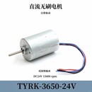 TYRK 双滚珠轴承 3650 24v自带驱动直流无刷高速马达DC24v15000转